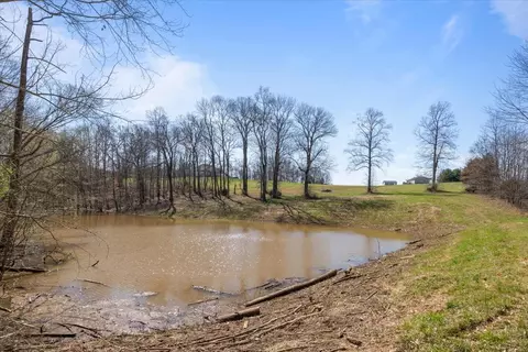 View/Area - 650 Wall Rd, Cunningham, TN 37052 photo 1 of 8