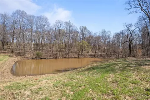 Other - 650 Wall Rd, Cunningham, TN 37052 photo 6 of 10