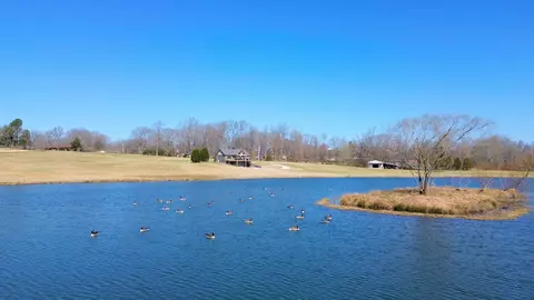 855 Carroll St S, Bruceton, TN 38317