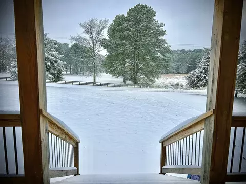 118 Beartown Rd, Loretto, TN 38469 photo 55