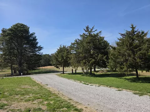 118 Beartown Rd, Loretto, TN 38469 photo 7
