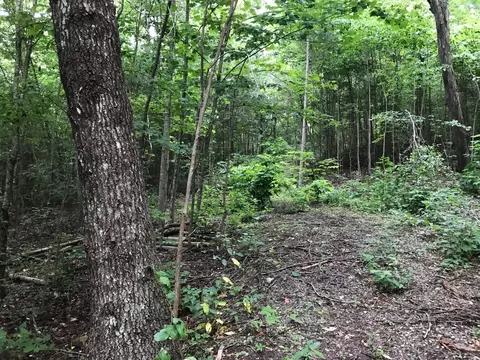 1 Smith Mountain Rd, Dunlap, TN 37327 photo 3
