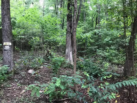 1 Smith Mountain Rd, Dunlap, TN 37327 photo 5