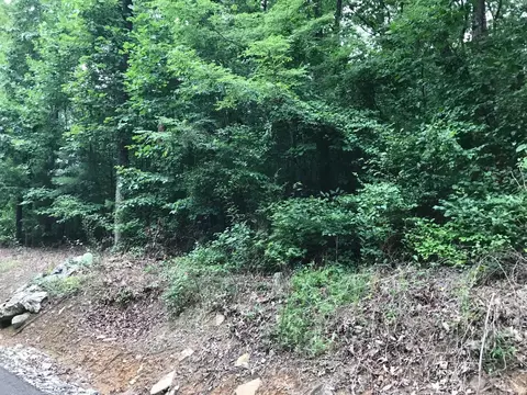 1 Smith Mountain Rd, Dunlap, TN 37327 photo 9