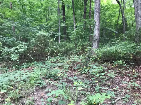 1 Smith Mountain Rd, Dunlap, TN 37327 photo 7