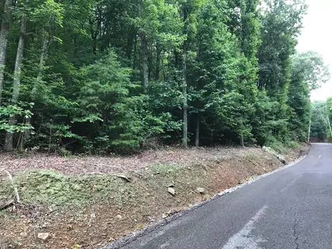 1 Smith Mountain Rd, Dunlap, TN 37327 photo 12