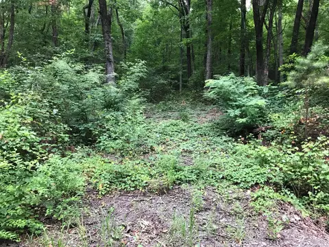 1 Smith Mountain Rd, Dunlap, TN 37327
