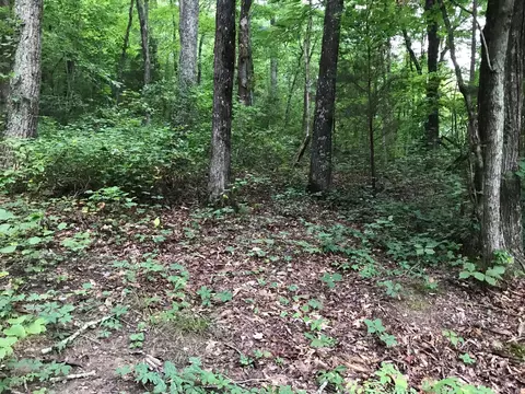 1 Smith Mountain Rd, Dunlap, TN 37327 photo 6