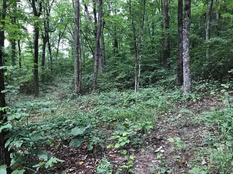 1 Smith Mountain Rd, Dunlap, TN 37327 photo 2