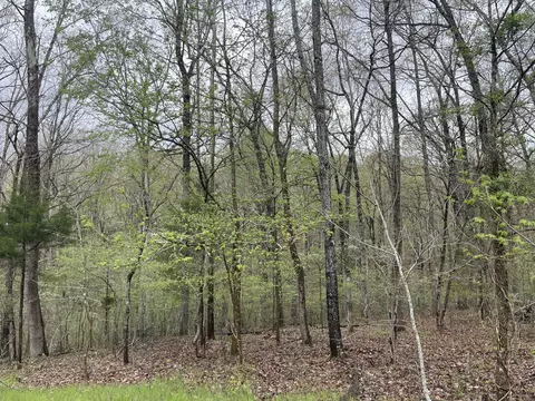 2713 Cardinal Ct, Nunnelly, TN 37137