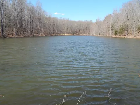 40 Lou Johns Ln, Loretto, TN 38469 photo 30