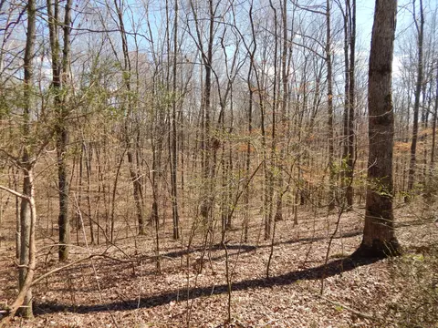 40 Lou Johns Ln, Loretto, TN 38469 photo 24