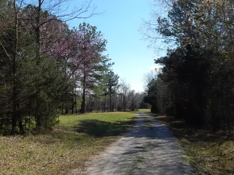 40 Lou Johns Ln, Loretto, TN 38469 photo 35