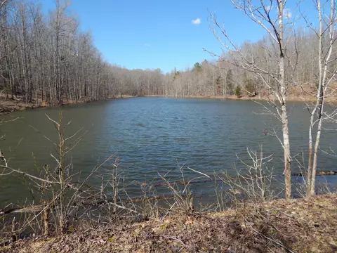 40 Lou Johns Ln, Loretto, TN 38469 photo 28