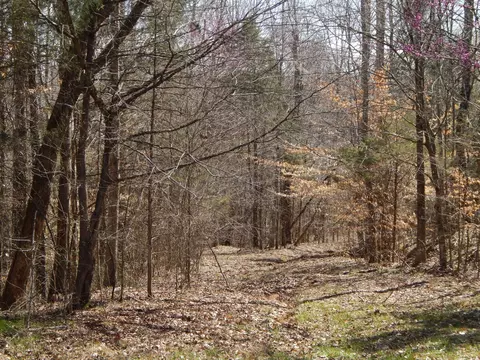 40 Lou Johns Ln, Loretto, TN 38469 photo 26