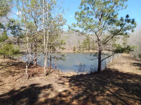 40 Lou Johns Ln, Loretto, TN 38469 photo 27