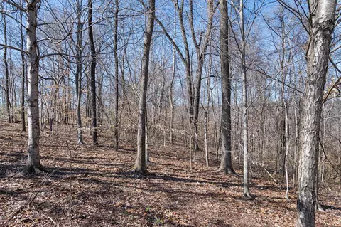 0 Tidwell Switch Rd, Dickson, TN 37055 photo 19