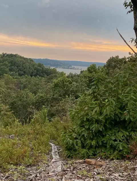 16 Lake Ridge Dr, Stewart, TN 37175