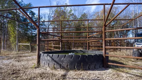 1173 Brady Rd, Moss, TN 38575 photo 24