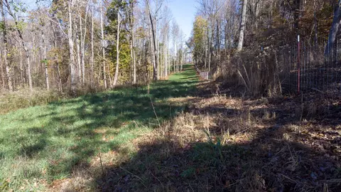 1173 Brady Rd, Moss, TN 38575 photo 28