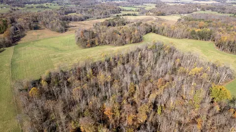 1173 Brady Rd, Moss, TN 38575 photo 8
