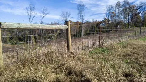1173 Brady Rd, Moss, TN 38575 photo 25