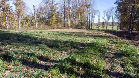 1173 Brady Rd, Moss, TN 38575 photo 33