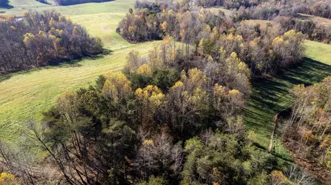1173 Brady Rd, Moss, TN 38575 photo 10