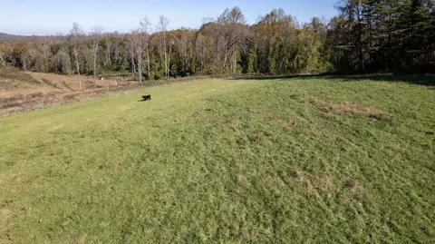 1173 Brady Rd, Moss, TN 38575 photo 15