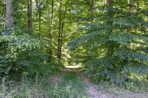 7916 E Plunders Creek Rd, Dickson, TN 37055 photo 64