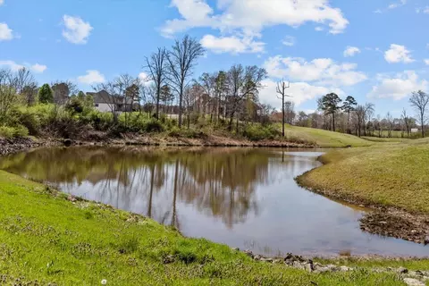 View/Area - 305 Masters Way, Dickson, TN 37055 photo 10 of 11