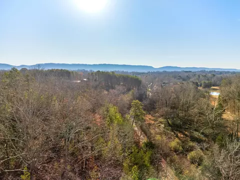 7357 Banther Rd, Harrison, TN 37341 photo 5