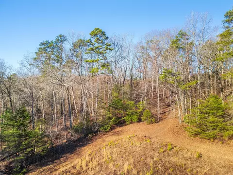 7357 Banther Rd, Harrison, TN 37341 photo 4