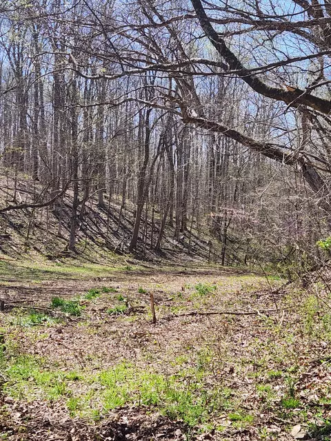 0 Lowery Cemetery Rd, Stewart, TN 37175