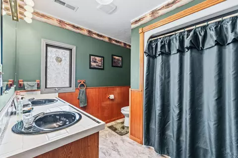 Bath - 286 Wright Rd, Prospect, TN 38477 photo 3 of 4