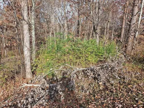 2930 Smyrna Heights Rd, Evensville, TN 37332
