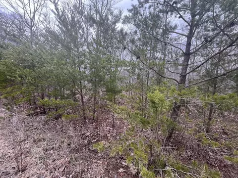 0 Maple Dr, Pikeville, TN 37367