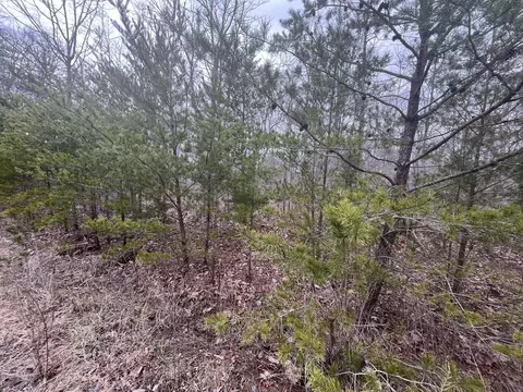 0 Maple Dr, Pikeville, TN 37367