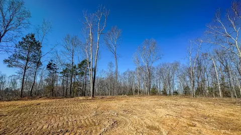 0 Highway 438, Centerville, TN 37033 photo 18