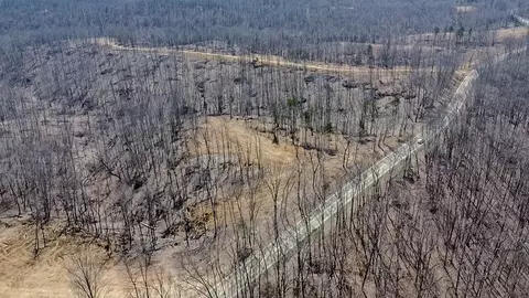 0 Highway 438, Centerville, TN 37033 photo 6