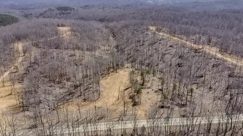 0 Highway 438, Centerville, TN 37033