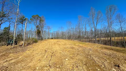 0 Highway 438, Centerville, TN 37033 photo 2