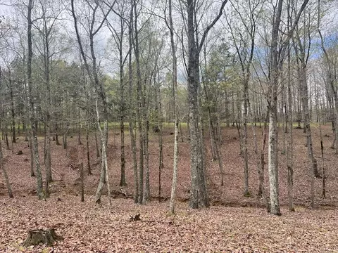 0 Willie Mauldin Rd, Lutts, TN 38471