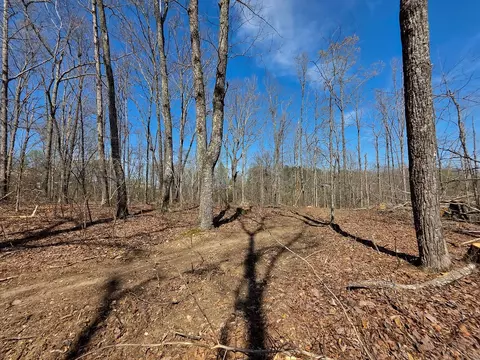 0 Highway 50 E, Centerville, TN 37033 photo 39