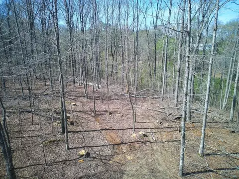 0 Highway 50 E, Centerville, TN 37033 photo 25