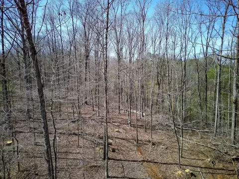 0 Highway 50 E, Centerville, TN 37033 photo 34