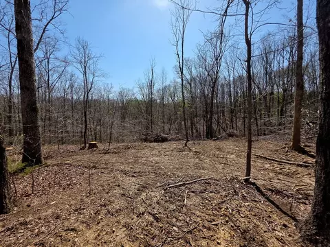 0 Highway 50 E, Centerville, TN 37033 photo 12