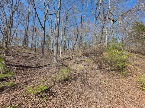 0 Highway 50 E, Centerville, TN 37033 photo 37