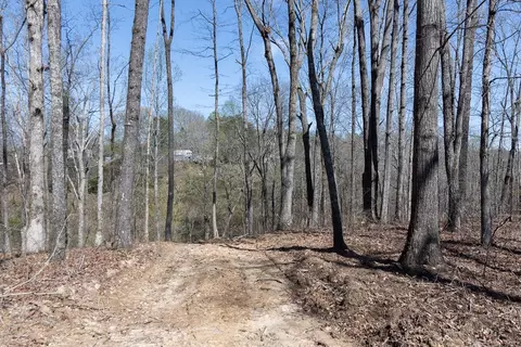 0 Highway 50 E, Centerville, TN 37033 photo 22