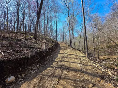 0 Highway 50 E, Centerville, TN 37033 photo 10